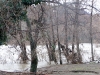 02_battifollo