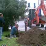 Un giardiniere prepara l'alloggio .....